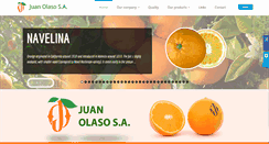 Desktop Screenshot of juanolaso.com