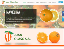 Tablet Screenshot of juanolaso.com